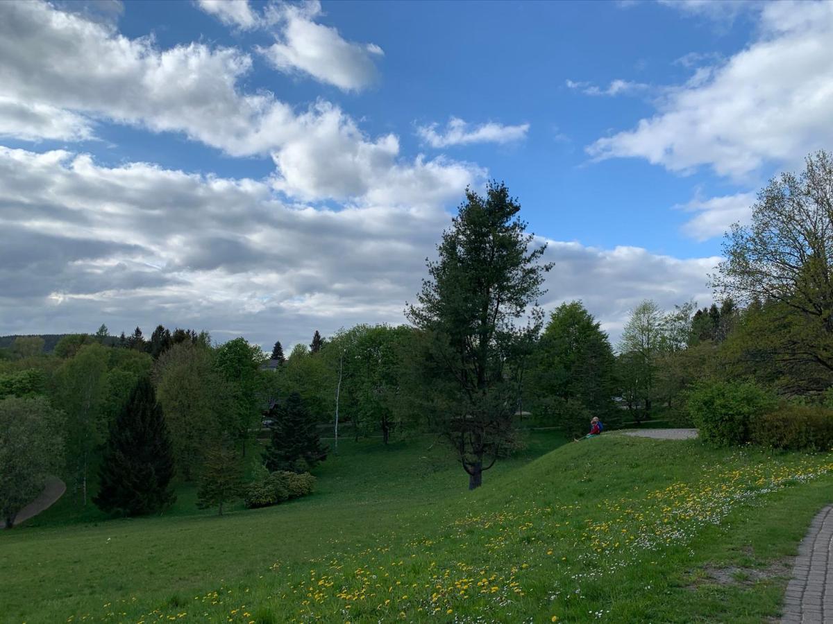 Gemuetliche Ferienwohnung Harz Braunlage Hohegeiss Exterior foto